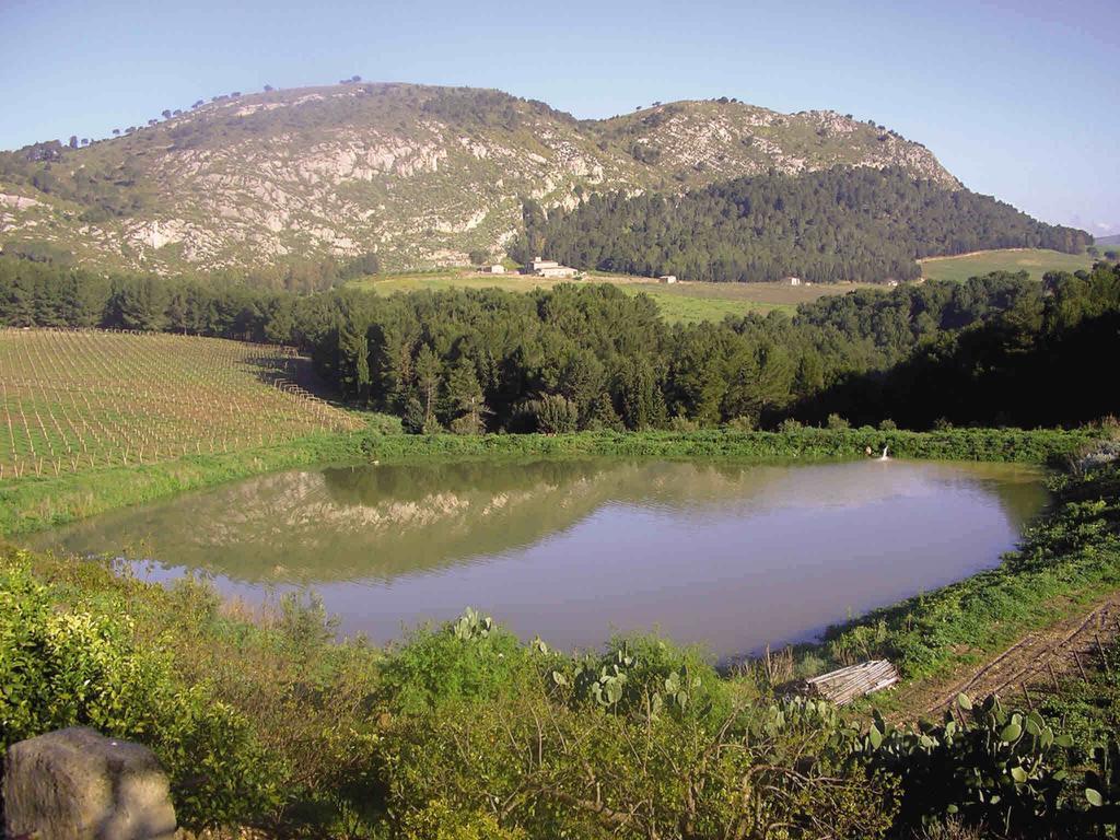 Agriturismo Tenute Pispisa Segesta Calatafimi Exterior foto
