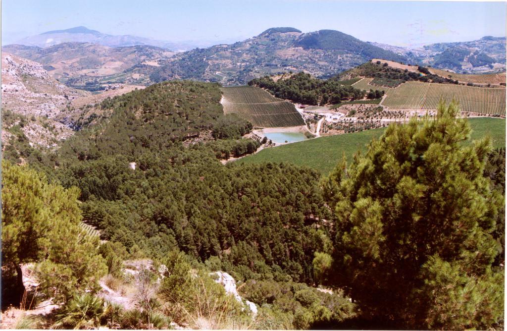 Agriturismo Tenute Pispisa Segesta Calatafimi Exterior foto