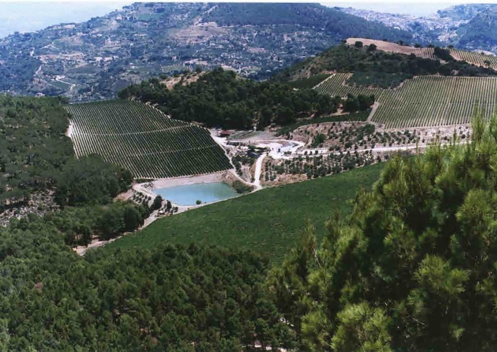 Agriturismo Tenute Pispisa Segesta Calatafimi Exterior foto